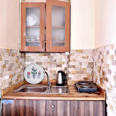 Captivating Duplex Flat With Classic Beyoglu Architecture 5-Min Walk To Istiklal Avenue Apartment Istanbul