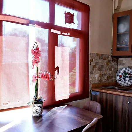 Apartment Captivating Duplex Flat With Classic Beyoglu Architecture 5-Min Walk To Istiklal Avenue